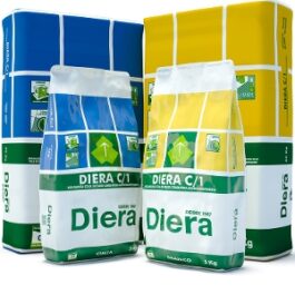 DIERA C1 CINZA