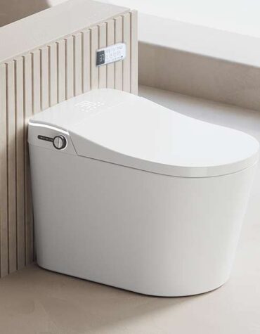 Sanita Smart Toilet Wish