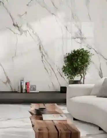 Pavimento cerâmico Paonazzo Polido 120x280