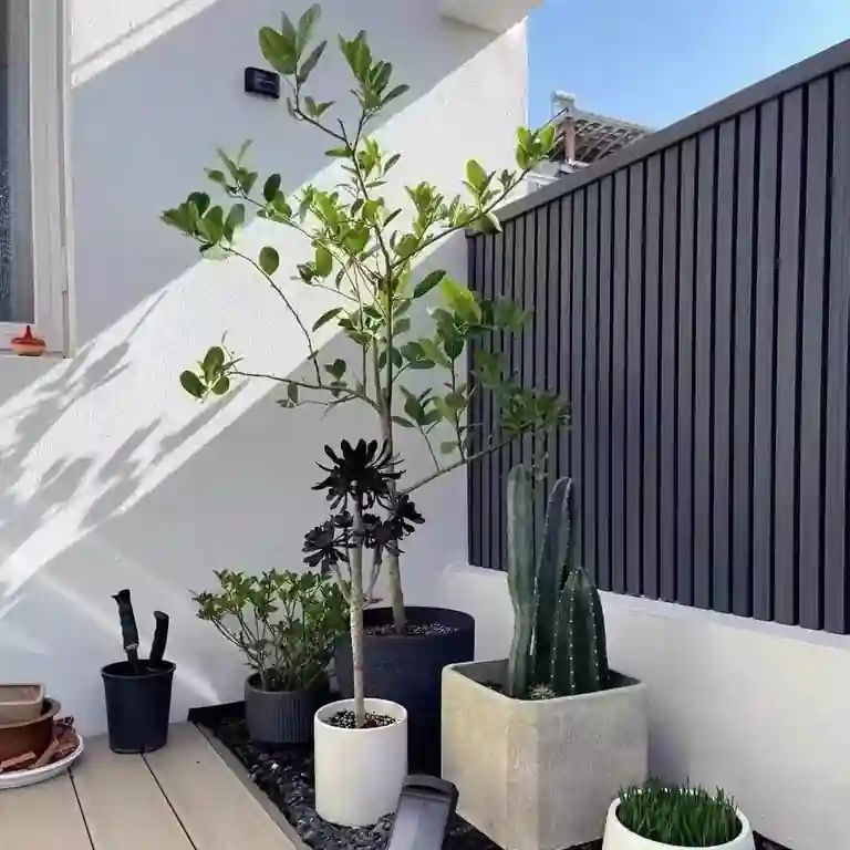 Ripado exterior Antracite 21,9x290